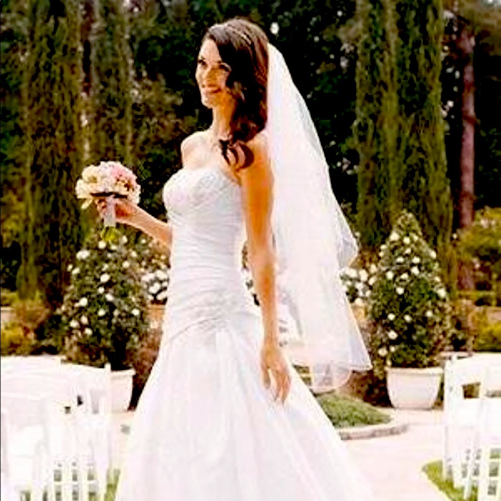 David’s Bridal Gown